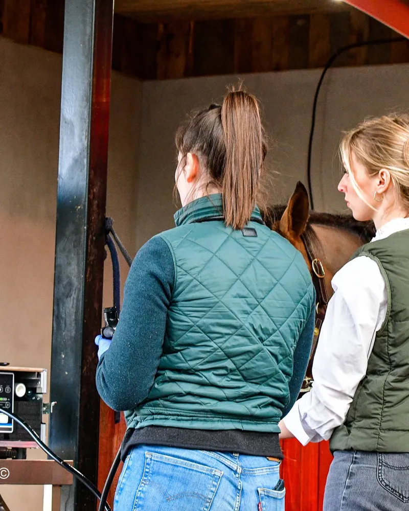 Twee dierenartsen bij een paard tijdens een onderzoek in de stal